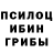 Псилоцибиновые грибы Cubensis Assalom Chimyon