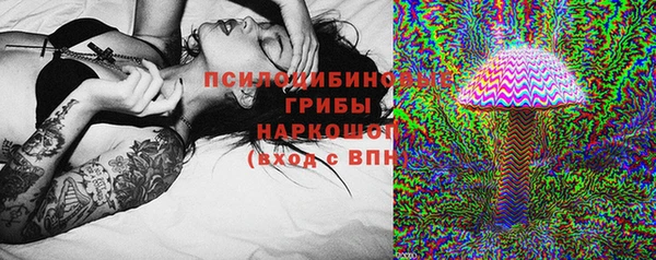 apvp Арсеньев