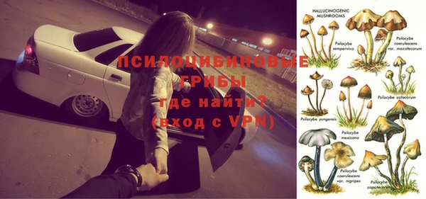apvp Арсеньев