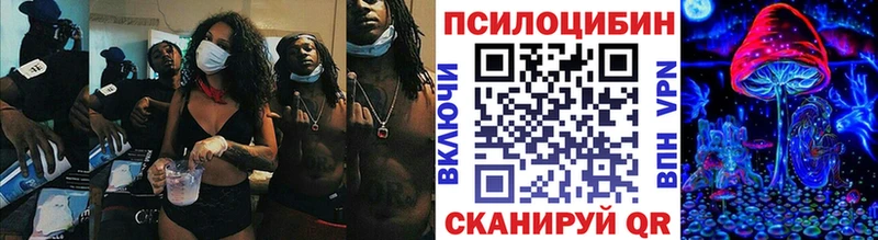 Галлюциногенные грибы Cubensis  Чаплыгин 